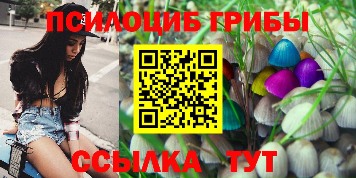 Галлюциногенные грибы Magic Shrooms  Галлюциногенные грибы GOLDEN TEACHER  Вход с VPN  Прохладный 