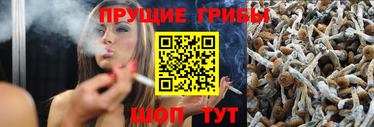 Псилоцибиновые грибы GOLDEN TEACHER Прохладный